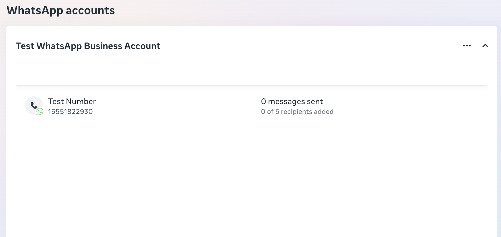 WhatsApp Business Account